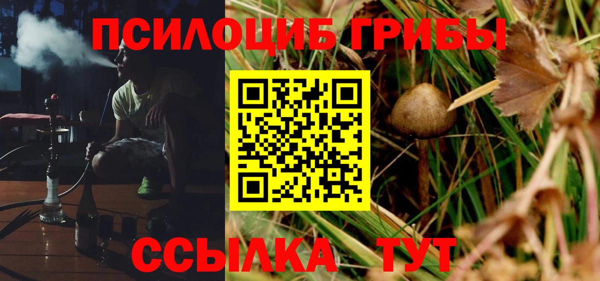 Псилоцибиновые грибы Magic Shrooms Сафоново